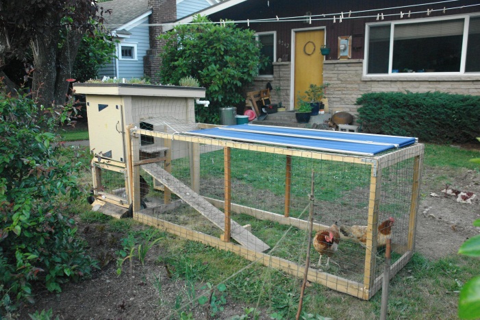 Image of a typical backyard chicken coop