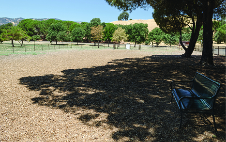 View of the Lagoon Valley Dog Park from a shaded bench