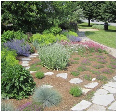 Picture of a garden to go along with model landscape ordinance item