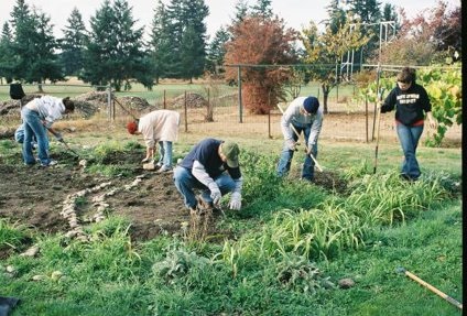 Community Garden