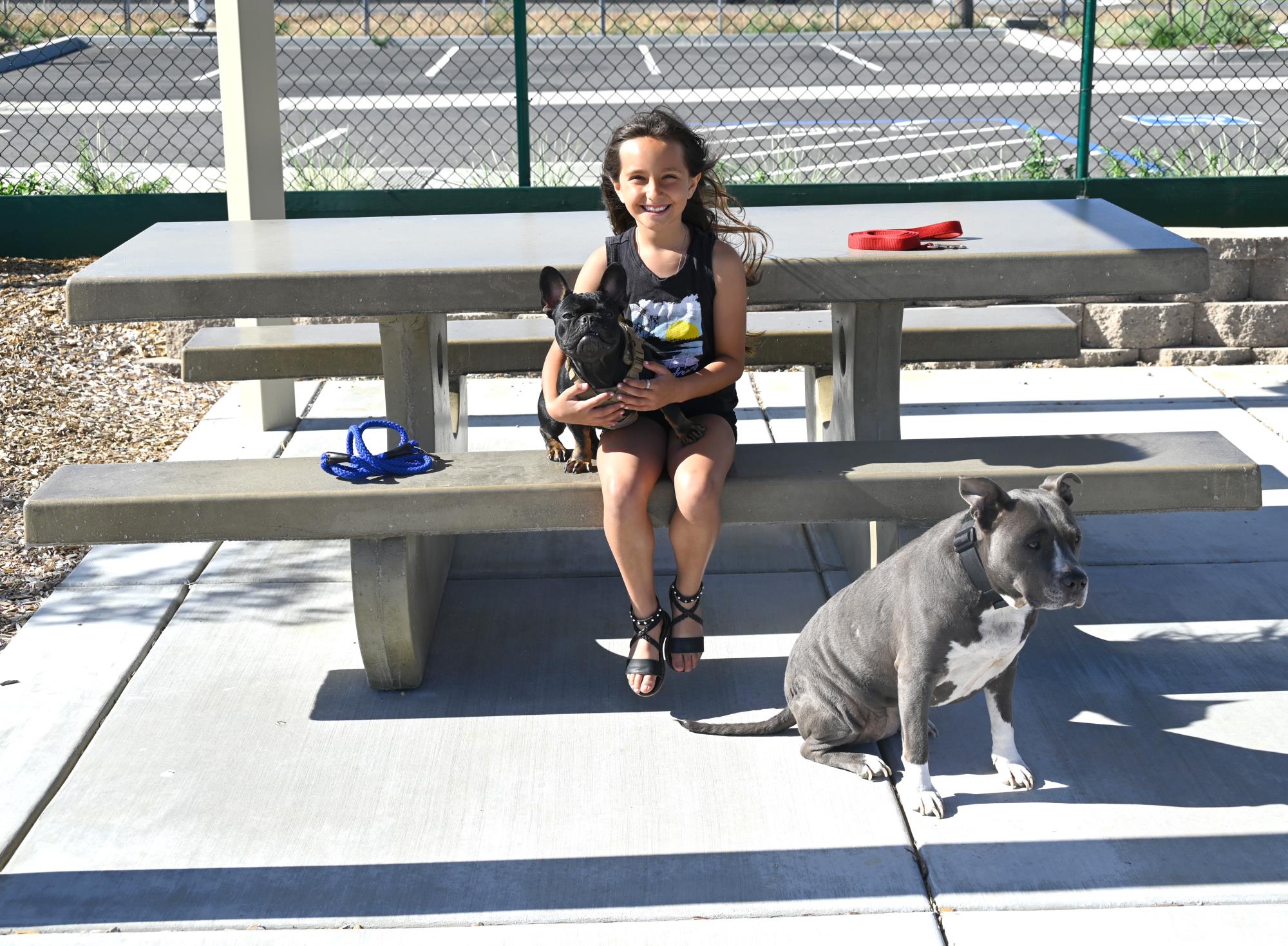 Willow With Dogs at Owl Park Picnic Bench