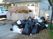 Accumulations in front yard